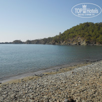 фото из отзыва ID 1328142