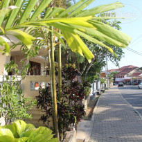 фото из отзыва ID 1328318