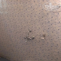 фото из отзыва ID 1328386