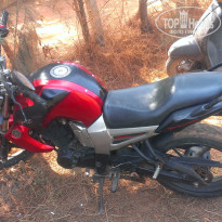 фото из отзыва ID 1328386