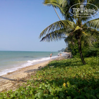 фото из отзыва ID 1328436