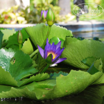 фото из отзыва ID 1328548