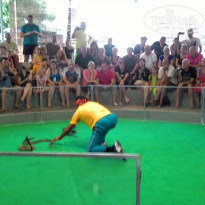 фото из отзыва ID 1328565