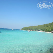 фото из отзыва ID 1327824