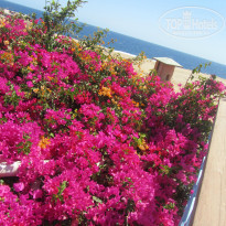 фото из отзыва ID 1328872