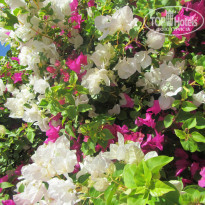 фото из отзыва ID 1328872