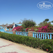 фото из отзыва ID 1328872