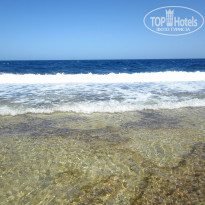 фото из отзыва ID 1328872