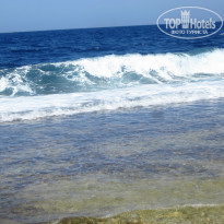 фото из отзыва ID 1328872