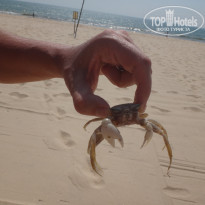 фото из отзыва ID 1328968