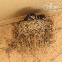 фото из отзыва ID 1329028