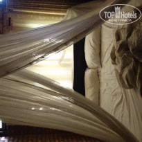 фото из отзыва ID 1329125