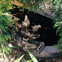 фото из отзыва ID 1329149