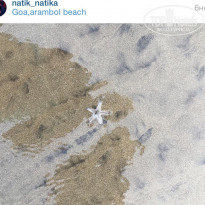 фото из отзыва ID 1329192