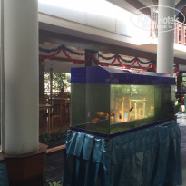 фото из отзыва ID 1329219