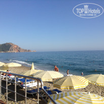 фото из отзыва ID 1329220