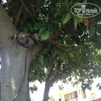 фото из отзыва ID 1329220