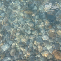 фото из отзыва ID 1329220