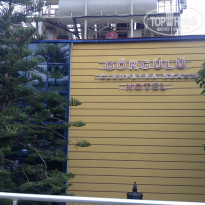 фото из отзыва ID 1329220