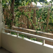 фото из отзыва ID 1329220