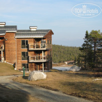 фото из отзыва ID 1329244