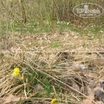 фото из отзыва ID 1329244