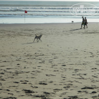 фото из отзыва ID 1329351