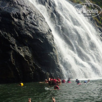 фото из отзыва ID 1329408