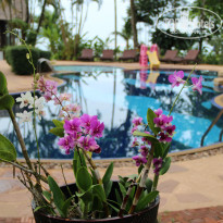 фото из отзыва ID 1329451