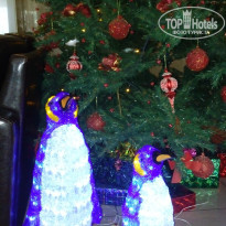 фото из отзыва ID 1326823