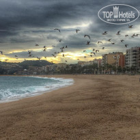 фото из отзыва ID 1329510