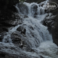 фото из отзыва ID 1327514