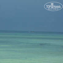 фото из отзыва ID 1329604