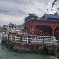 фото из отзыва ID 1329661