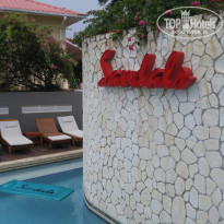 фото из отзыва ID 1329661