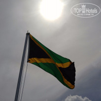 фото из отзыва ID 1329661