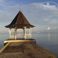 фото из отзыва ID 1329661