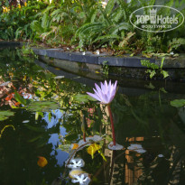 фото из отзыва ID 1329661