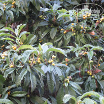 фото из отзыва ID 1329744