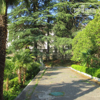 фото из отзыва ID 1329744