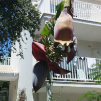 фото из отзыва ID 1329735