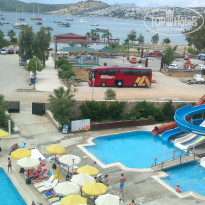 фото из отзыва ID 1329735