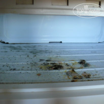 фото из отзыва ID 1329846