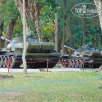 фото из отзыва ID 1329870