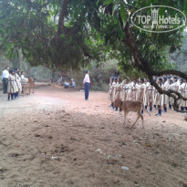 фото из отзыва ID 1327974