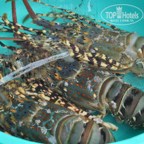 фото из отзыва ID 1327514