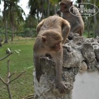 фото из отзыва ID 1327514