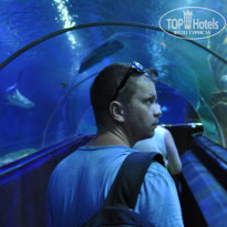 фото из отзыва ID 1327514