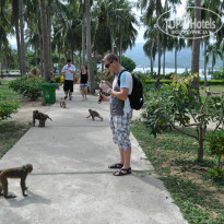 фото из отзыва ID 1327514