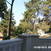 фото из отзыва ID 1326545